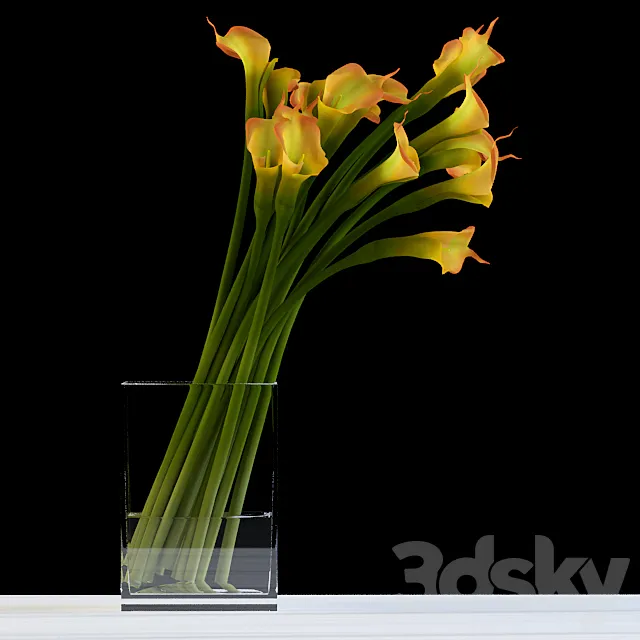 Yellow calla 3D Model Yellow calla 3D Model