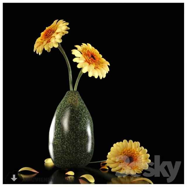 YELLOW DEW GERBERA 3D Model YELLOW DEW GERBERA 3D Model