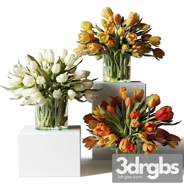 Yellow Red and White Tulips in Glass Vases 3D Model Download Yellow Red and White Tulips in Glass Vases 3D Model Download