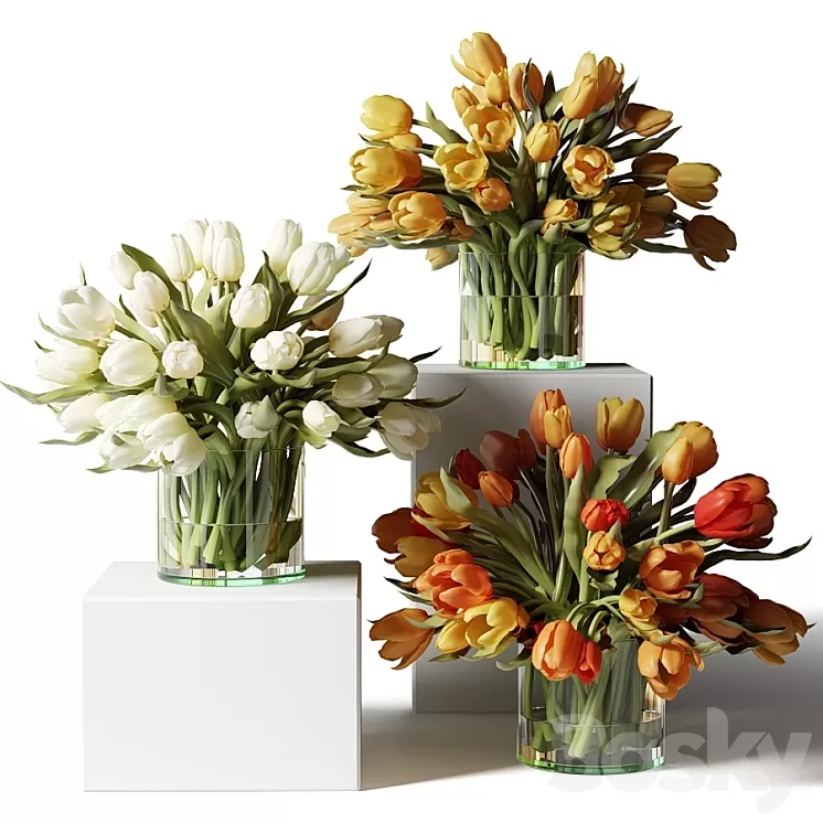 Yellow red and white tulips in glass vases 3D Model