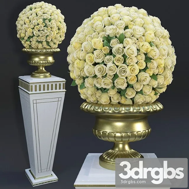 Yellow roses Yellow roses