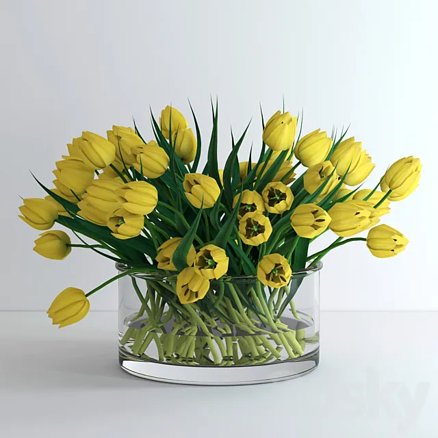 Yellow tulips _ Yellow tulips 3D Model