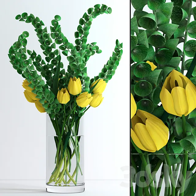 Yellow tulips and Moluccella 3D Model