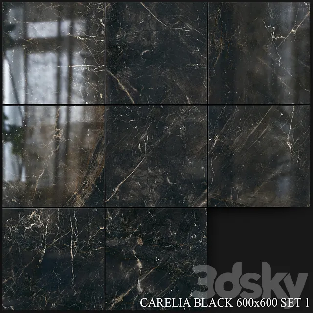 Yurtbay Seramik Carelia Black 600×600 Set 1 3D Model