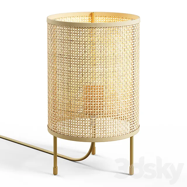 Zara Home – Rattan Lamp 3D Model Zara Home – Rattan Lamp 3D Model