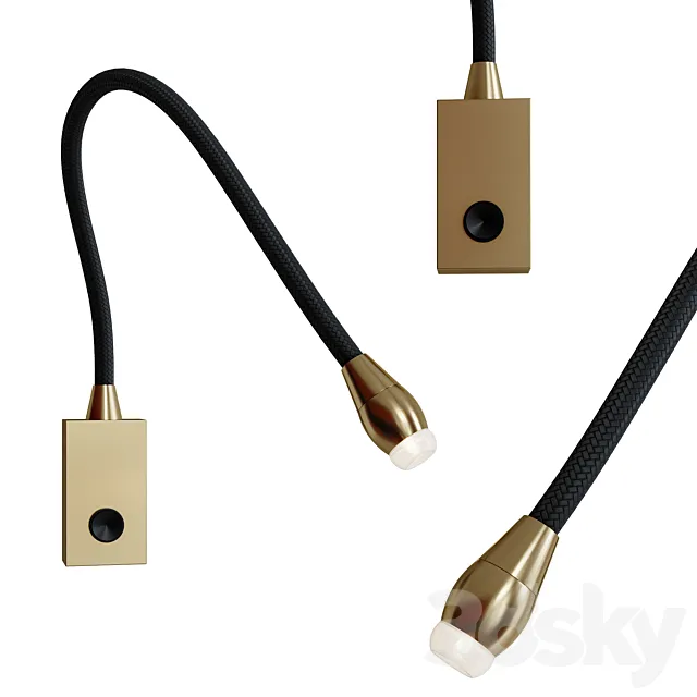 Zonca dinamica 3D Model