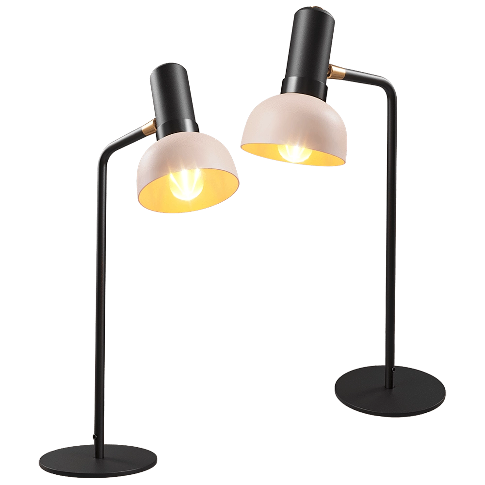 Zuiver Group   – Table lamp Charlie 3D Model